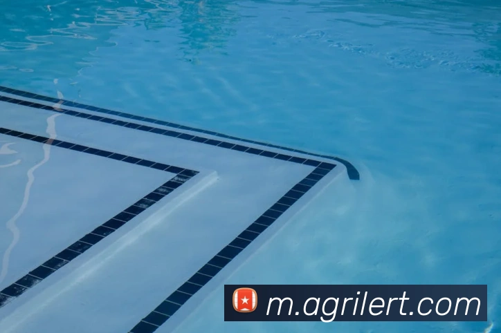 ag官网APP 封面图